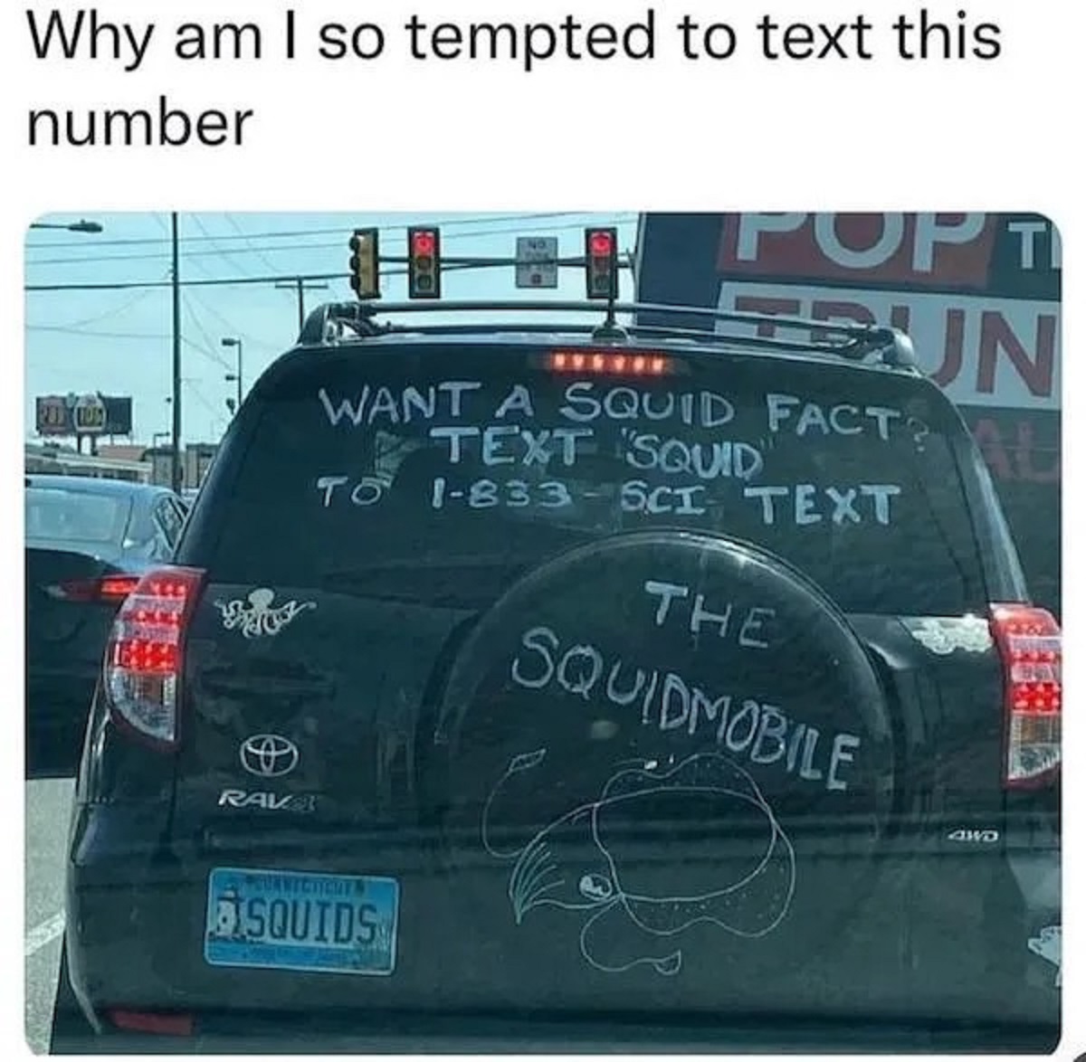 vehicle registration plate - Why am I so tempted to text this number H Popt Un Want A Squid Fact Text Squid" To 1833 Sci Text The Squidmobile Awd Ravex Sunvicticien Squids