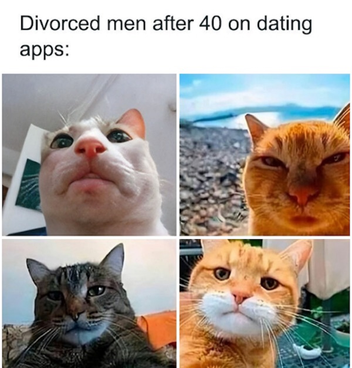 man 40 years old on dating apps - Divorced men after 40 on dating apps