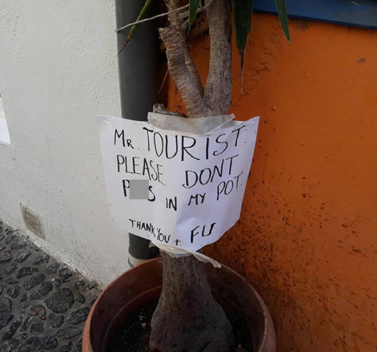 tree - Mr. Tourist Please Ps Dont In My Pot Thank You Fu