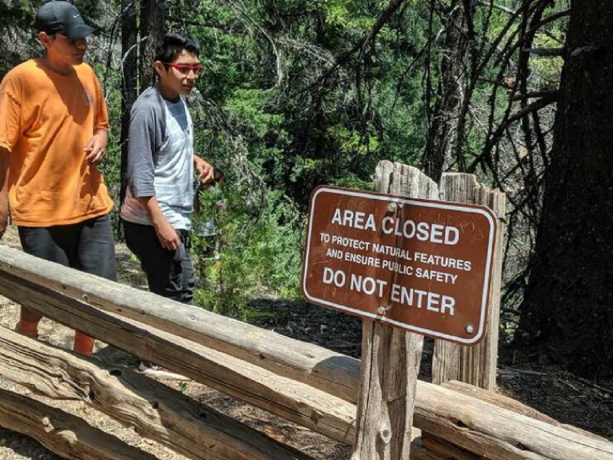 tree - Area Closed To Protect Natural Features And Ensure Public Safety Do Not Enter