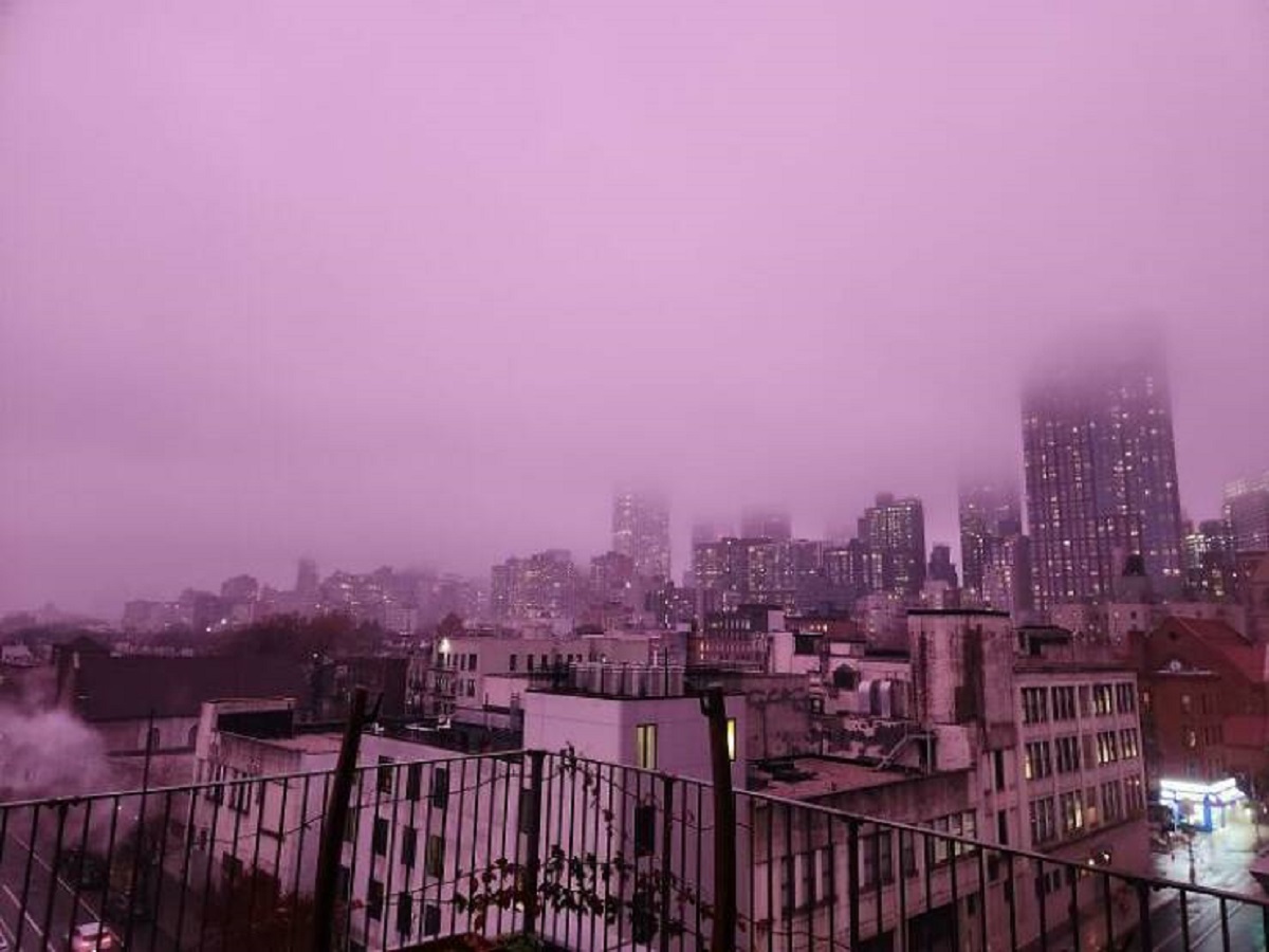 "Actual Purple Rain In NYC Right Now"