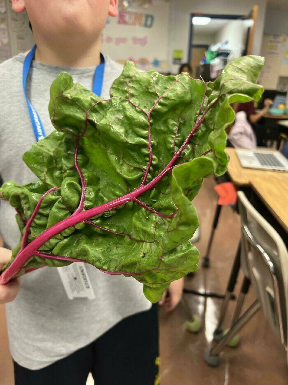 "I’m A Teacher. My District Provides Healthy Snacks For Students. This Was Our Snack Today"