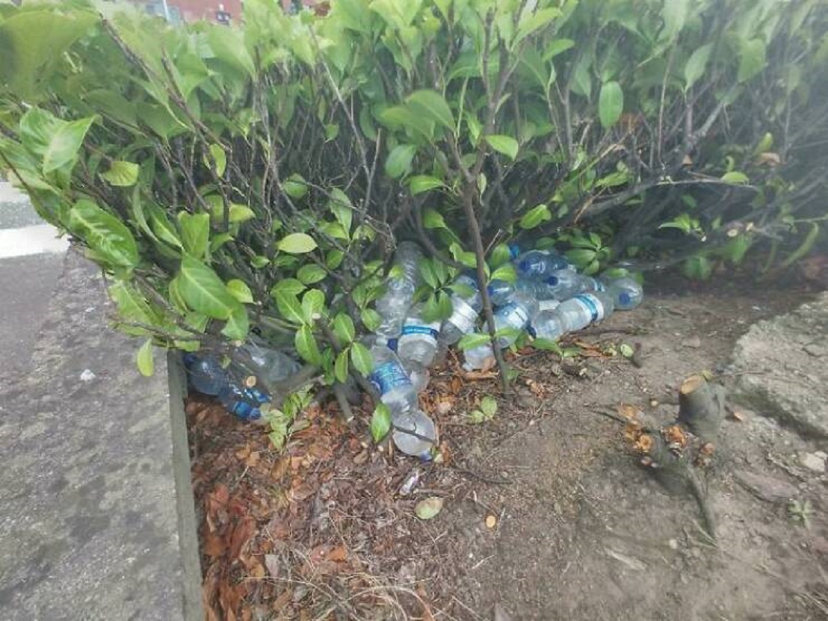 "I Found A Load Of Unopened Water Bottles In A Bush Outside A Shopping Centre. I Took A Photo And A Security Guard Immediately Came Out And Told Me To Delete It"