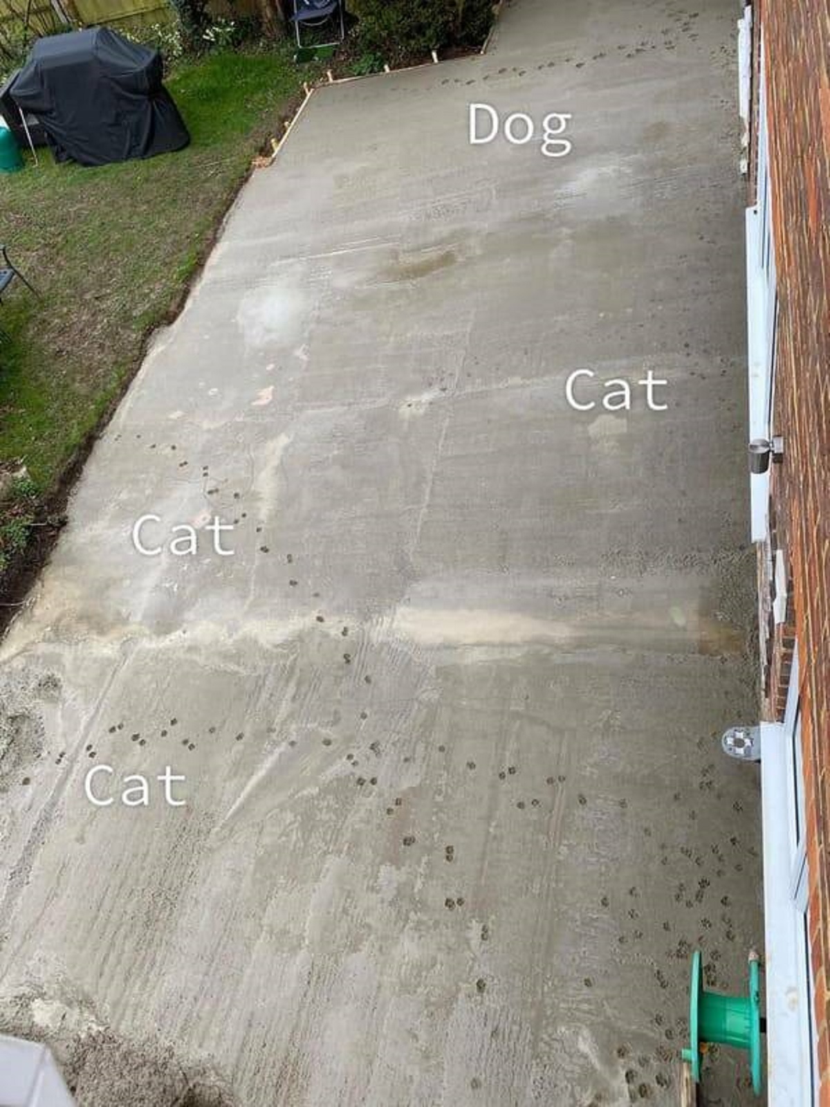 “Fresh concrete, poured 10 minutes ago. Partner decided to let all the pets out, unsupervised. The pets immediately inspected the workman ship.”