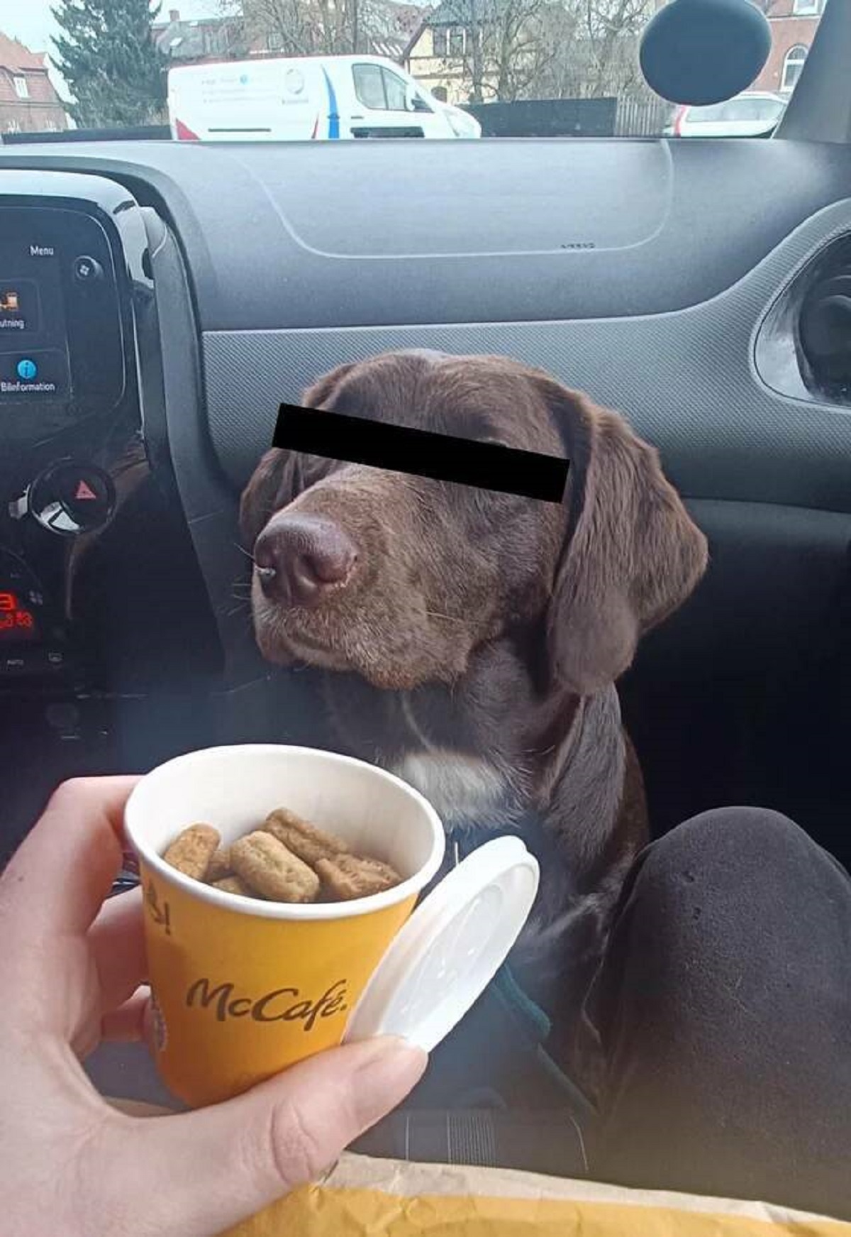 "McDonalds gave me a cup of dog treats with my order"