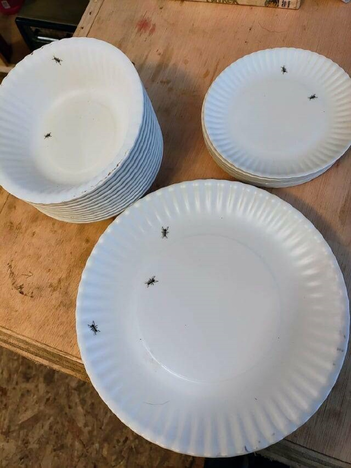 "These heavy-duty re-usable plastic dishes with ants painted on them."