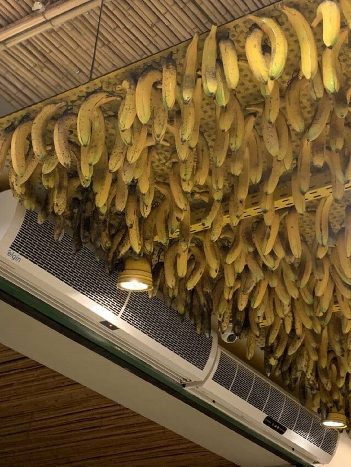 "Plastic bananas developing realistic appearance of decay due to AC-induced humidity"