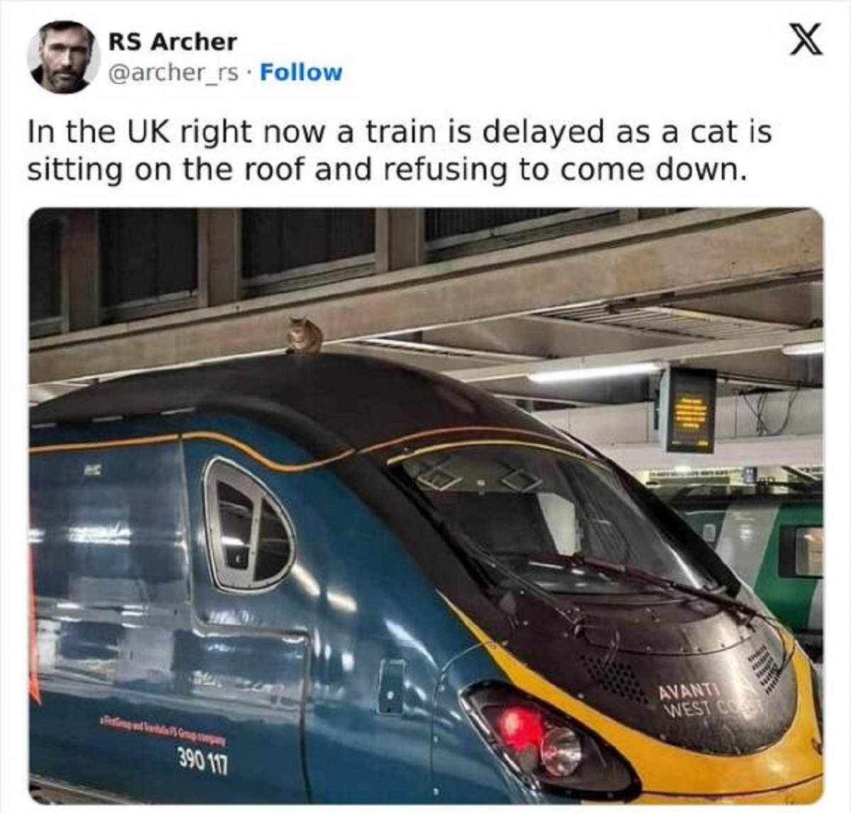 cat on train uk - Rs Archer In the Uk right now a train is delayed as a cat is sitting on the roof and refusing to come down. Fisting and Grappy 390 117 Avanti West Cost X