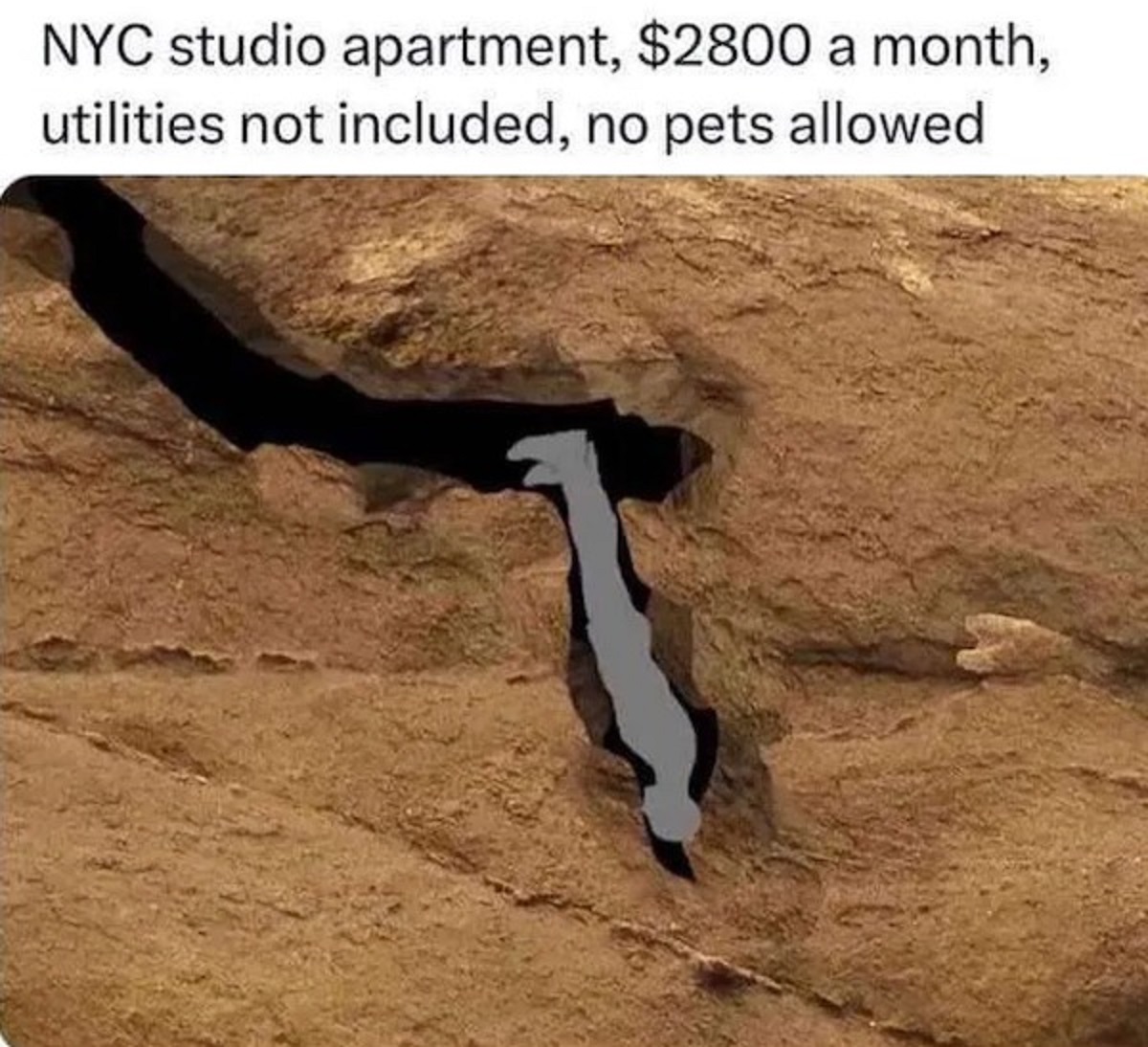 nutty putty cave - Nyc studio apartment, $2800 a month, utilities not included, no pets allowed