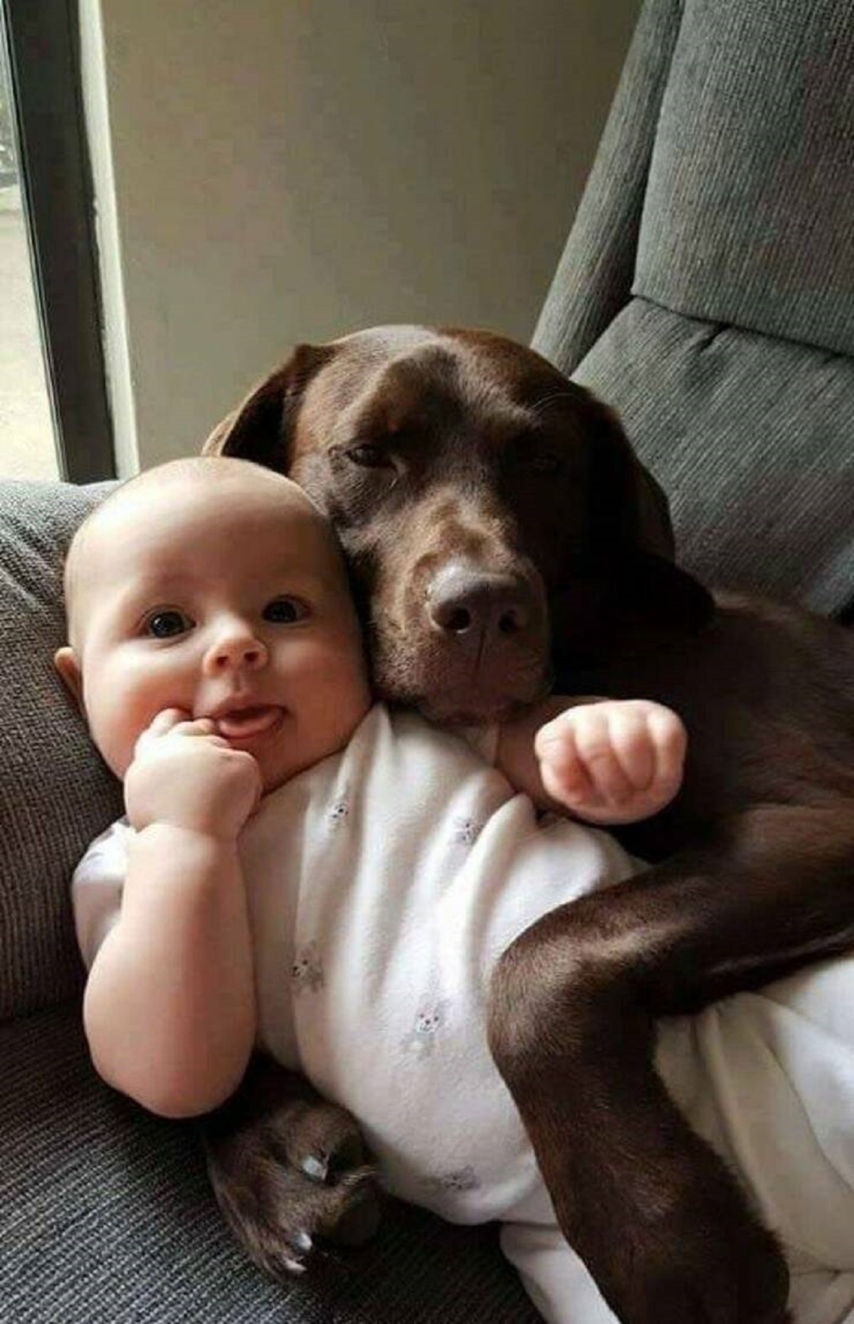 baby hugging dog
