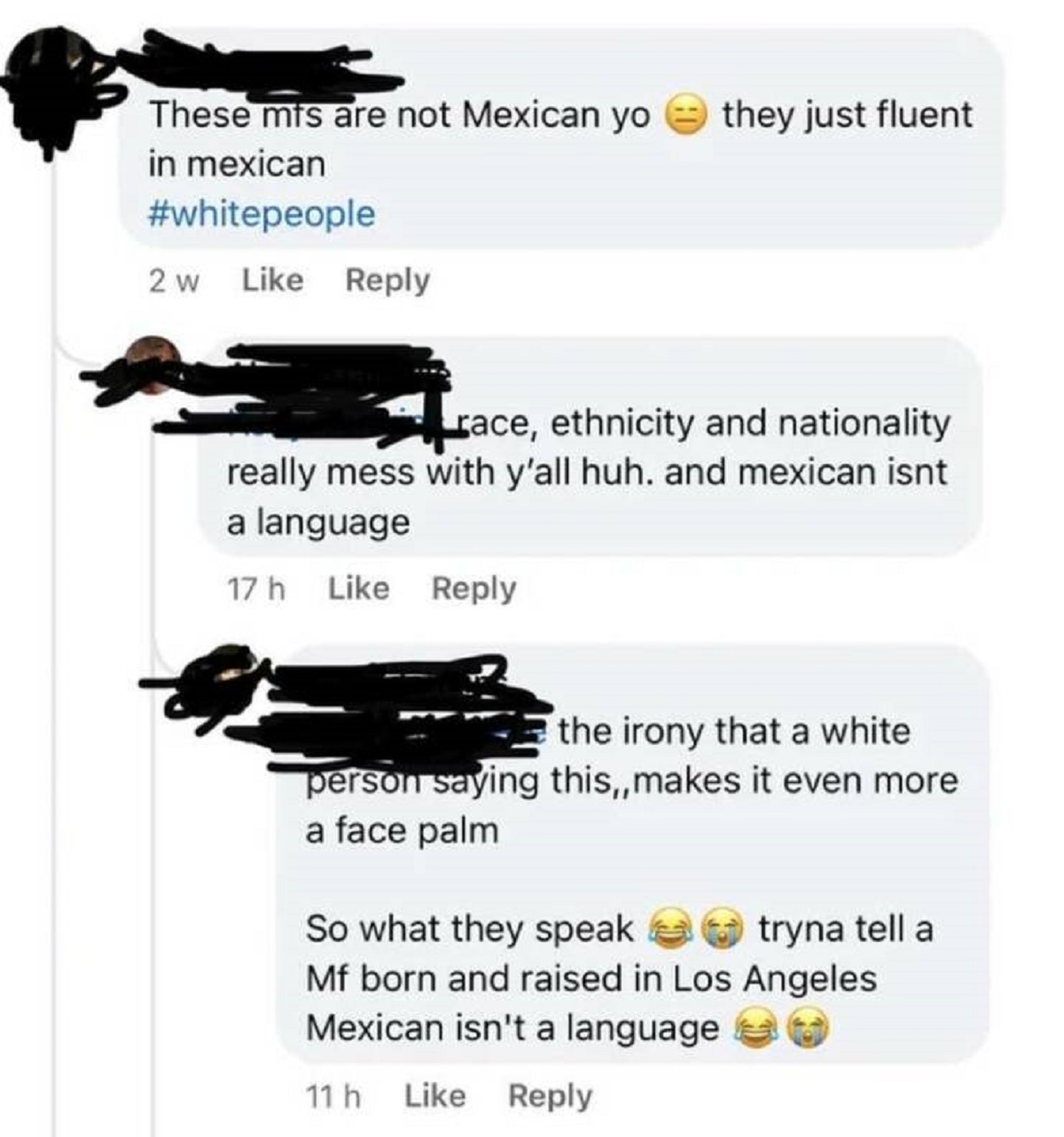 web page - These mts are not Mexican yo in mexican 2 w they just fluent race, ethnicity and nationality. really mess with y'all huh. and mexican isnt a language 17h the irony that a white person saying this,, makes it even more a face palm So what they sp