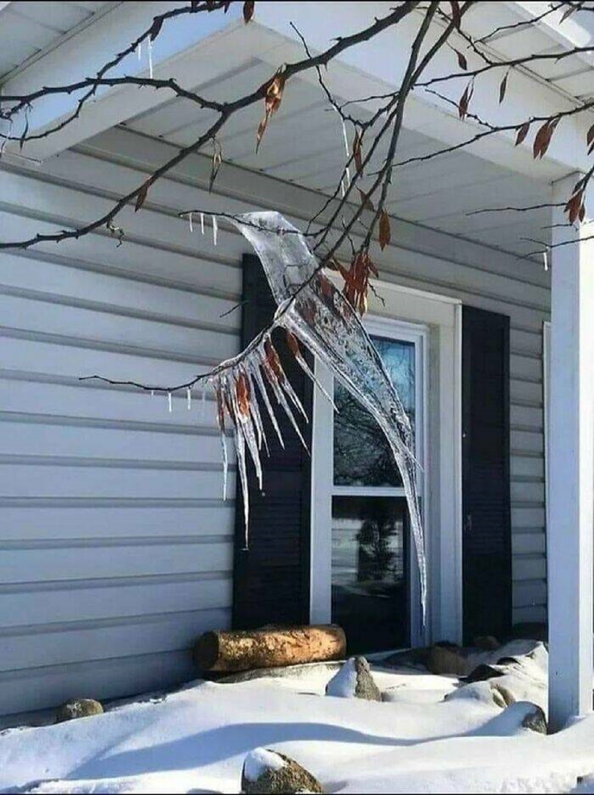 "Ice Hummingbird Created By Nature"