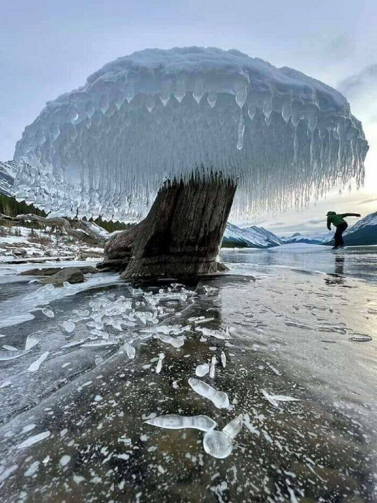 "Ice Tree In Canada"