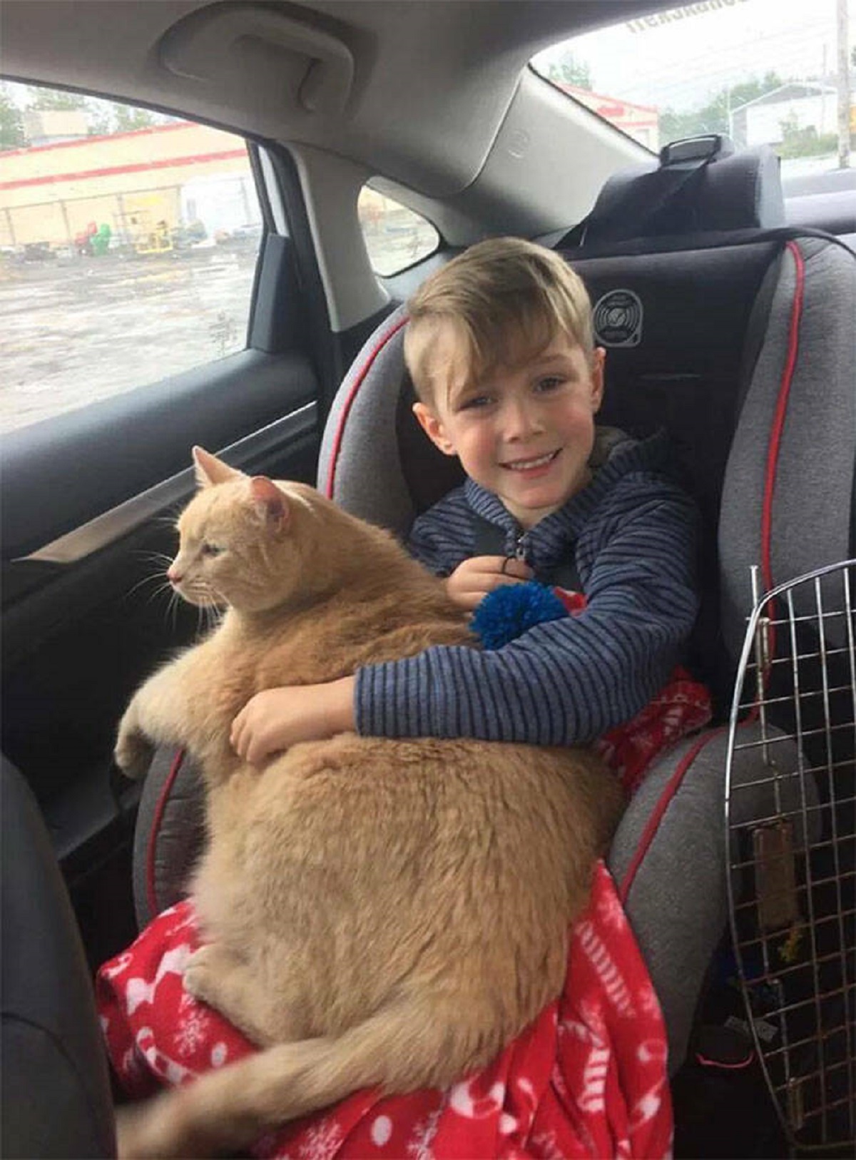 "Easton's Mom Told Him He Could Adopt A New Pet. He Had The Choice Between A Puppy Dog Or A Cat. He Chose To Adopt Tiny, A 10-Year-Old Cat Who Had Just Lost His Home. Of All The Animals, He Chose To Adopt An Overweight, Old, Shy Cat. Love Is Blind, As It Should Be. On The Ride Home, Tiny Got Out Of His Cage And Cuddled In With His New Owner And Has Been Stuck To Him Ever Since. Great Job Easton, Tiny Is One Lucky Cat!"