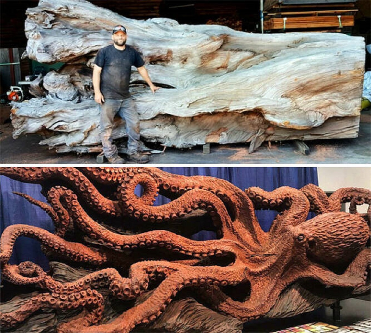 "The Expert Chainsaw Cutter Jeffrey Michael Samudosky Used Part Of A Dead Sequoia To Create His Incredible Octopus' Sculpture. Wow!"