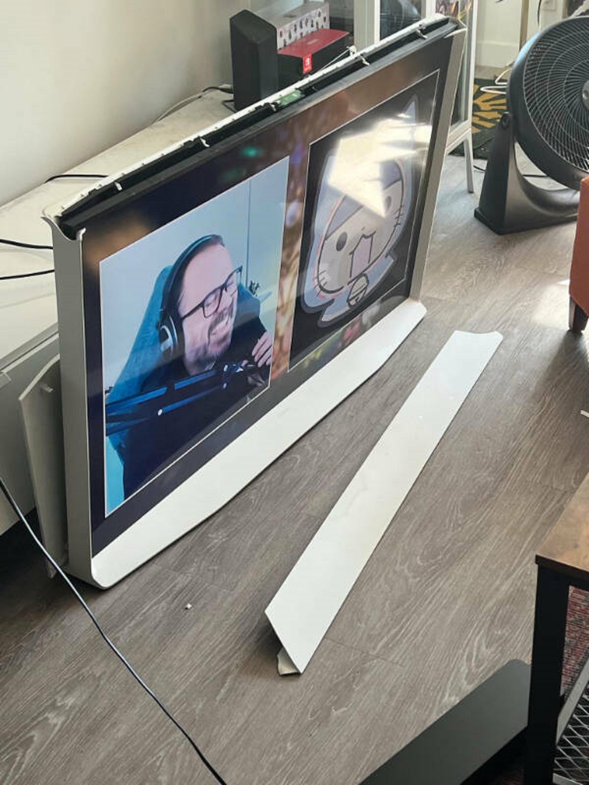 “Cat jumped off the Samsung Serif TV and it fell. Replacing the frame costs $1500”