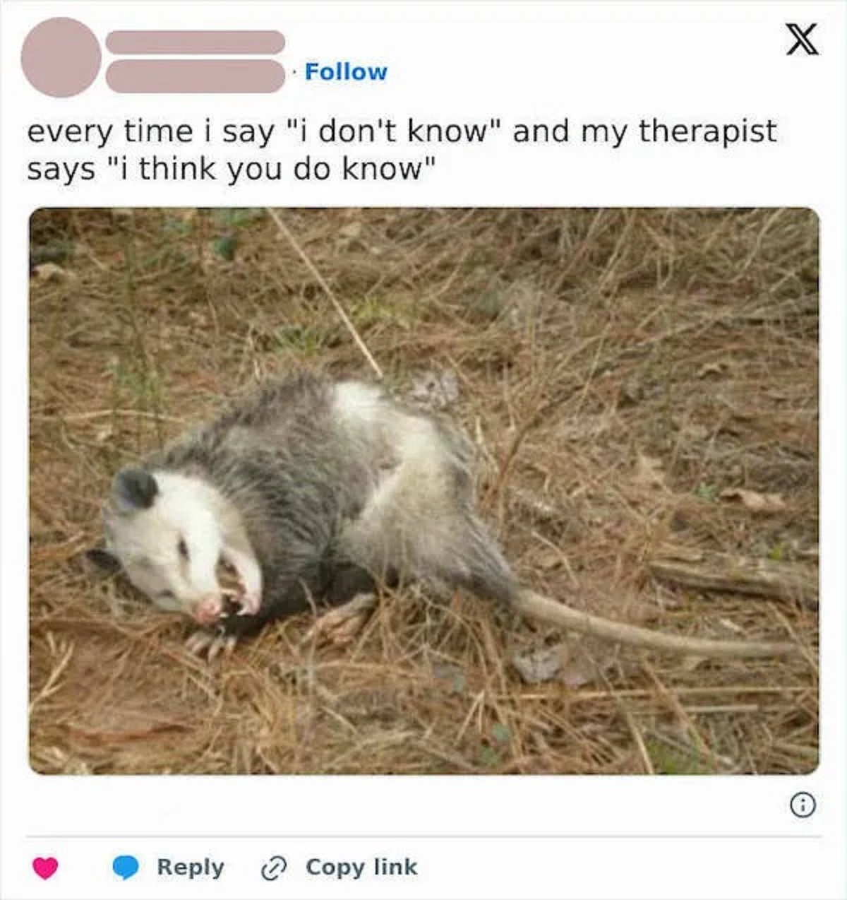 common opossum - every time i say "i don't know" and my therapist says "i think you do know" Copy link X