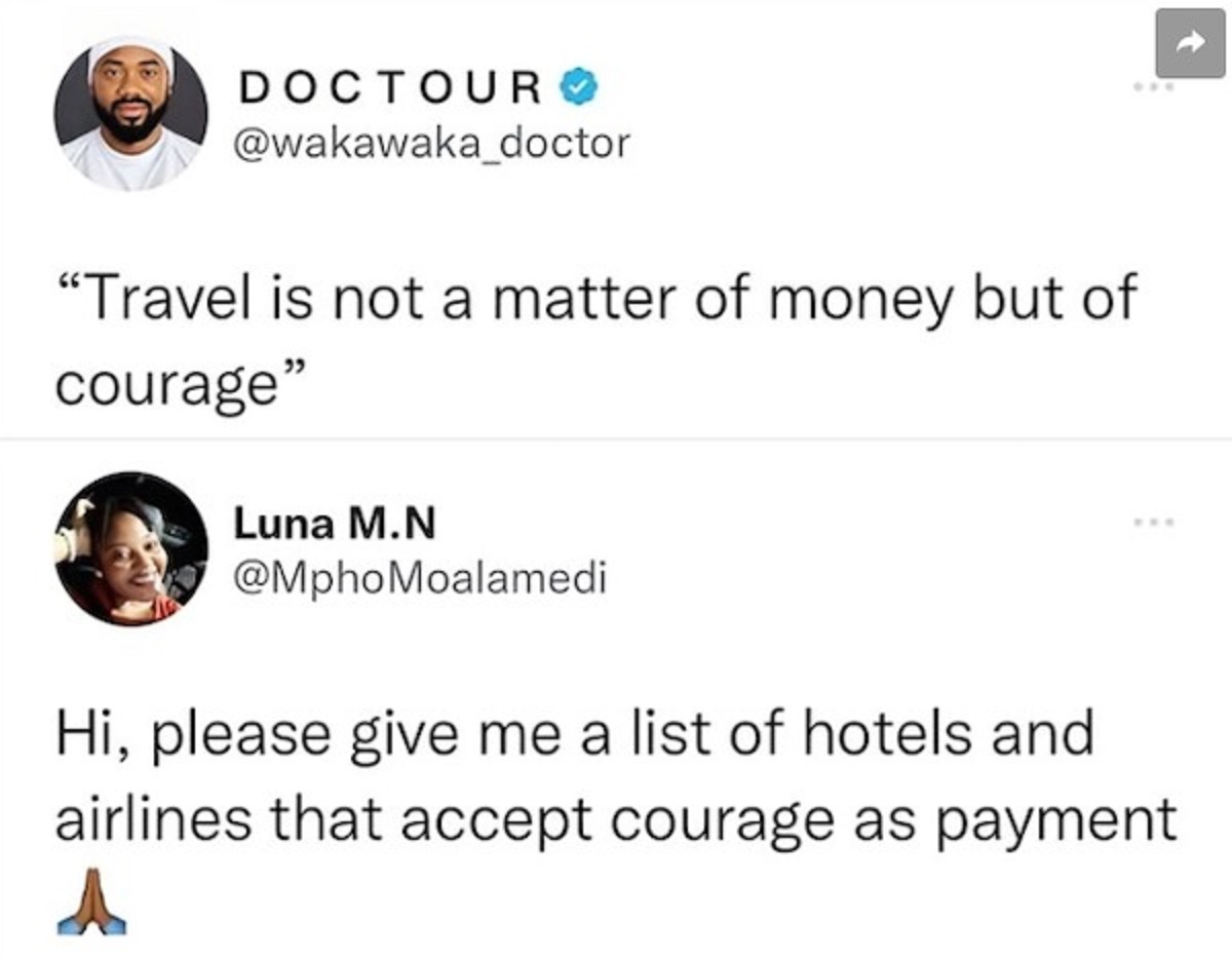 screenshot - Doctour O "Travel is not a matter of money but of courage" Luna M.N Hi, please give me a list of hotels and airlines that accept courage as payment A