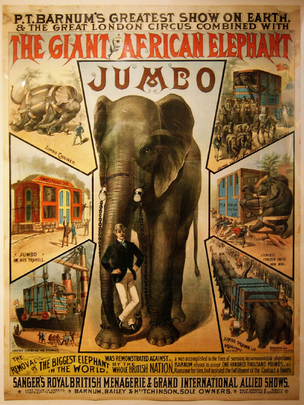 jumbo elephant - P.T.Barnum'S Greatest Show On Earth. & The Great London Circus Combined With The Giant African Elephant Jumbo Jumbo The Removal The Biggest The Worst Was Remonstrated Against in the female One Red Then, Barnum Who British Nation for hot i