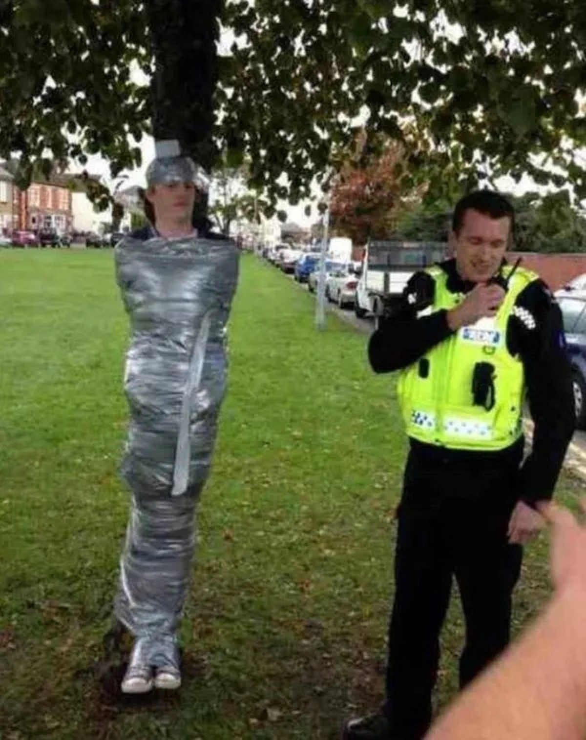 duct taped to a tree