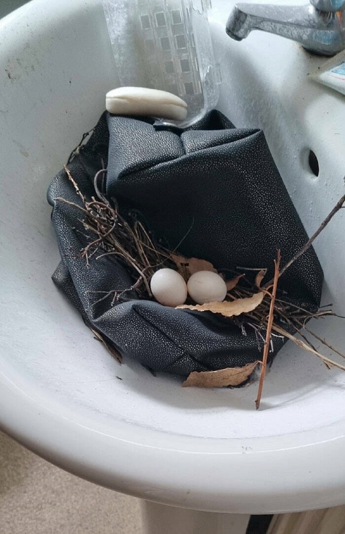 "While I Was Away, I Left My Bathroom Window Open For 3 Weeks, And A Bird Laid A Nest In My Sink"