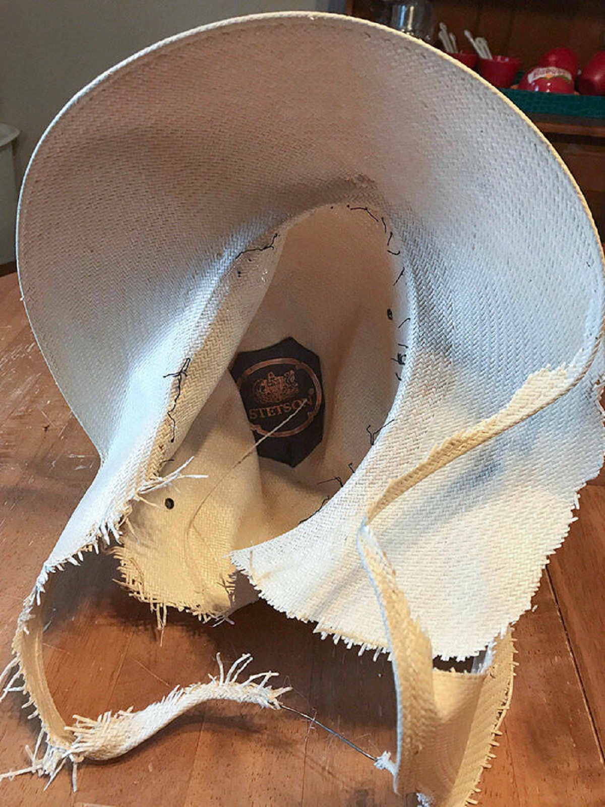 "My Wife Didn't Put Away Her $300.00 Stetson Hat. Our Dog Reminded Her"
