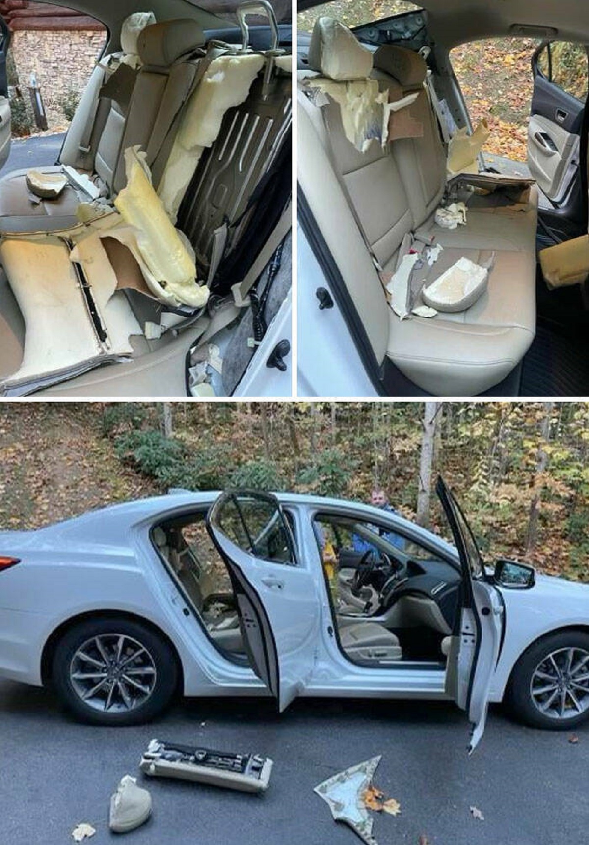 "This Is What Happens When You Go To The Mountains And Forget To Lock Your Doors. I Bet The Insurance Claim Will Be Unbearable"