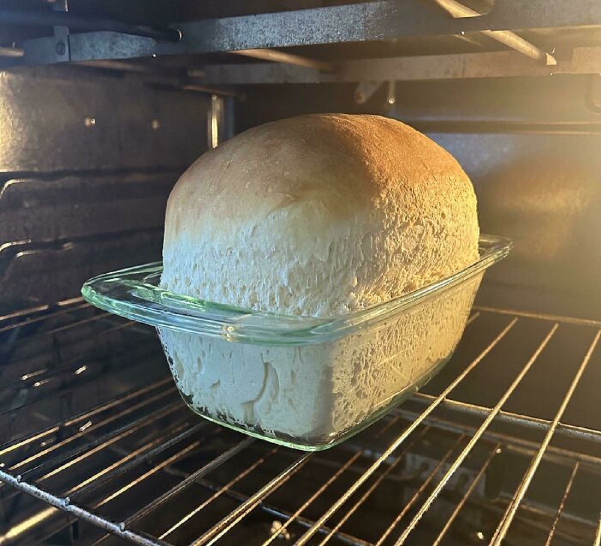 hard dough bread