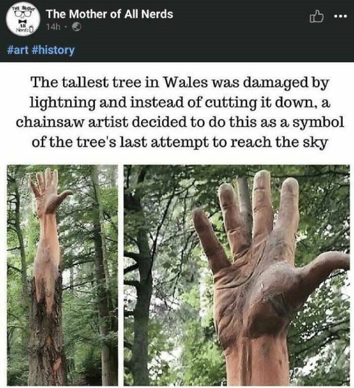 tree struck by lightning hand - The Mother of All Nerds 14h D The tallest tree in Wales was damaged by lightning and instead of cutting it down, a chainsaw artist decided to do this as a symbol of the tree's last attempt to reach the sky
