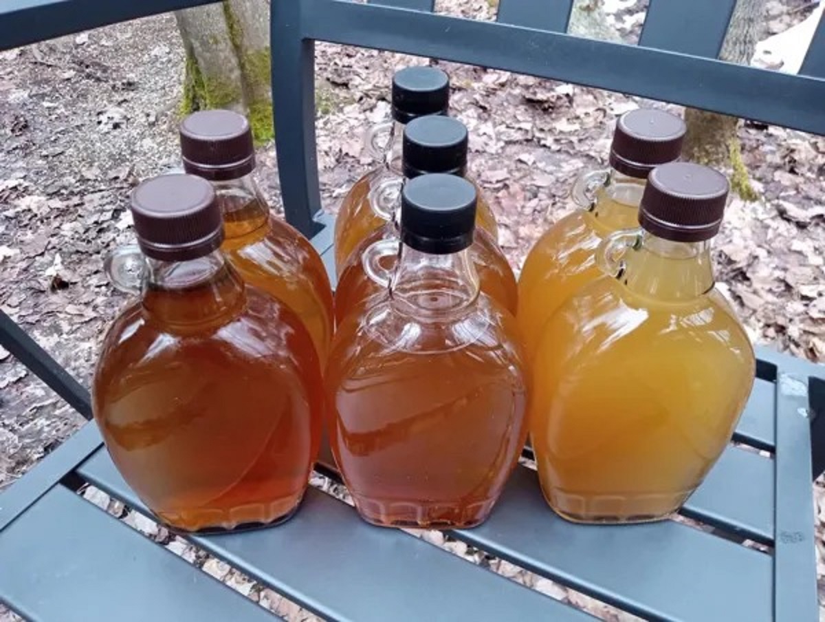 Such different colours and grades of maple syrup from one batch to the next.