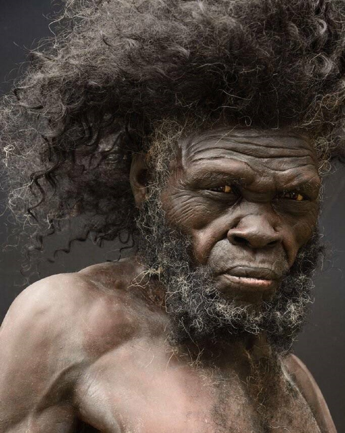 What the earliest modern humans likely looked like 160,000 years ago. (Photo created by Moesgaard Museum in Denmark)