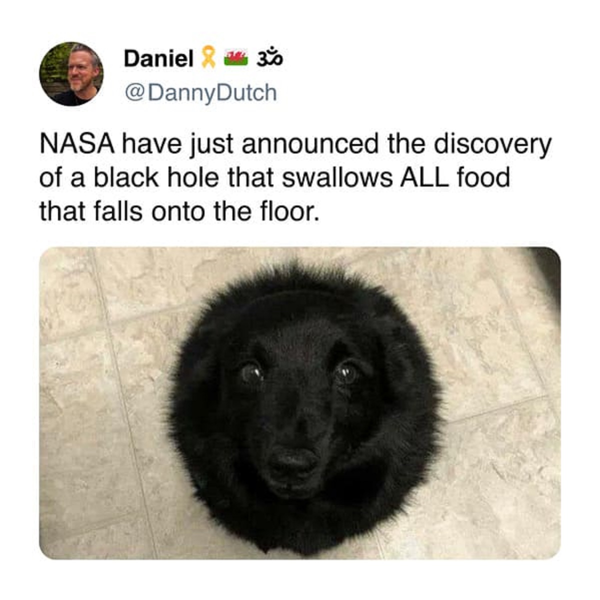 fisher - Daniel 30% Nasa have just announced the discovery of a black hole that swallows All food that falls onto the floor.