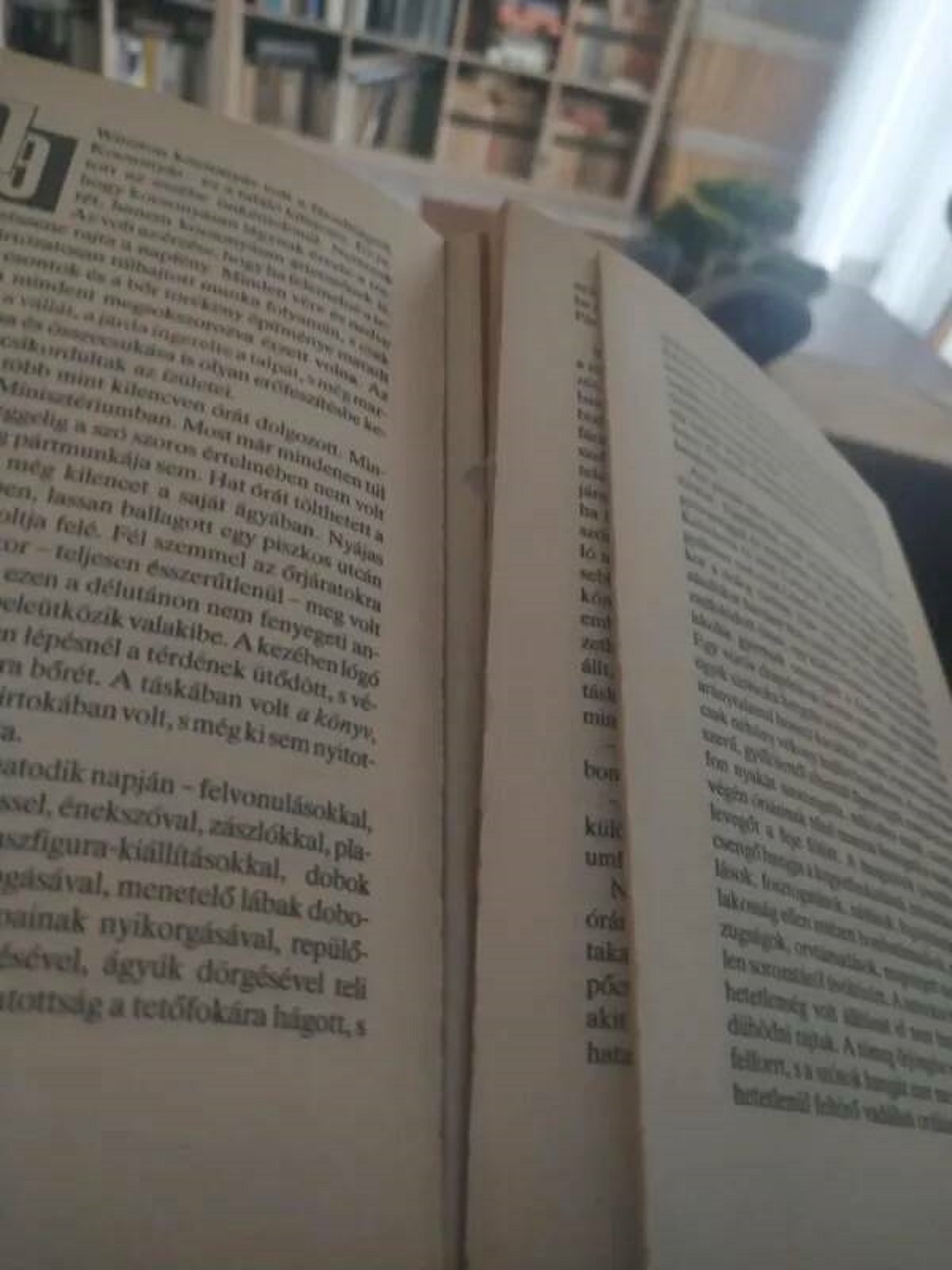 “Tried reading a book and when I broke it’s spine this happened”