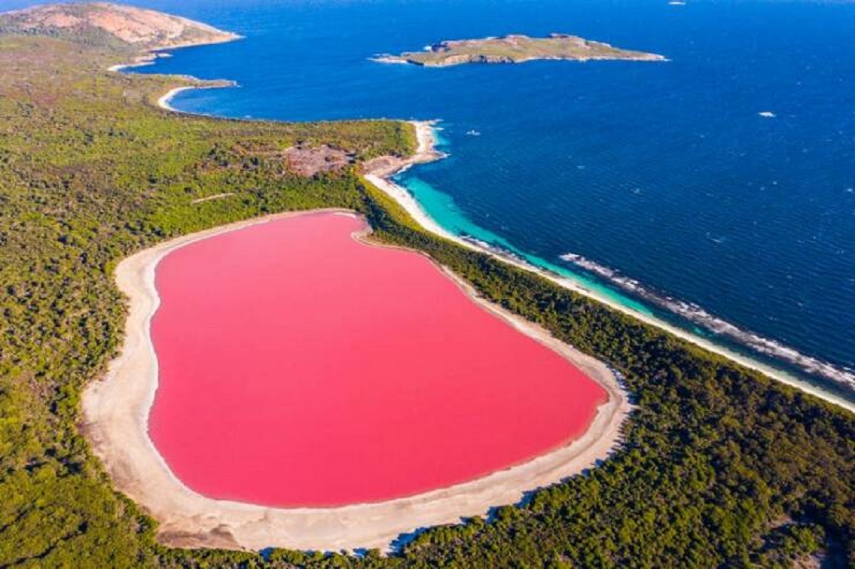 pink lake australien