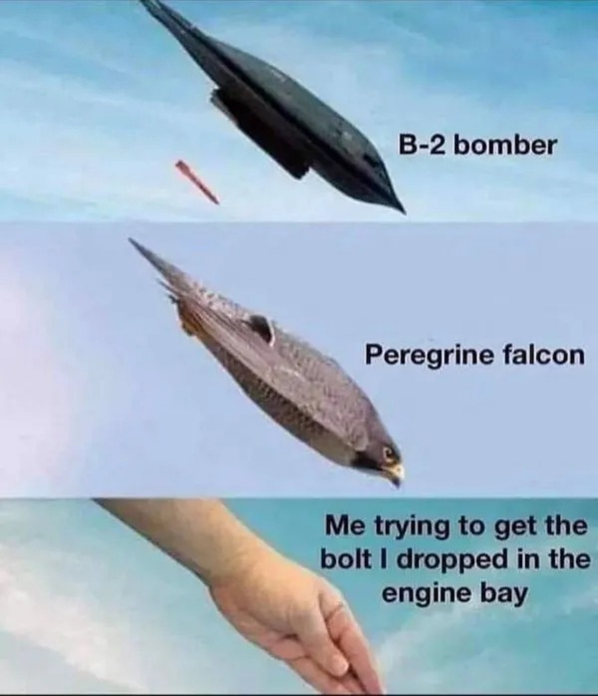 fastest bird in the world - B2 bomber Peregrine falcon Me trying to get the bolt I dropped in the engine bay