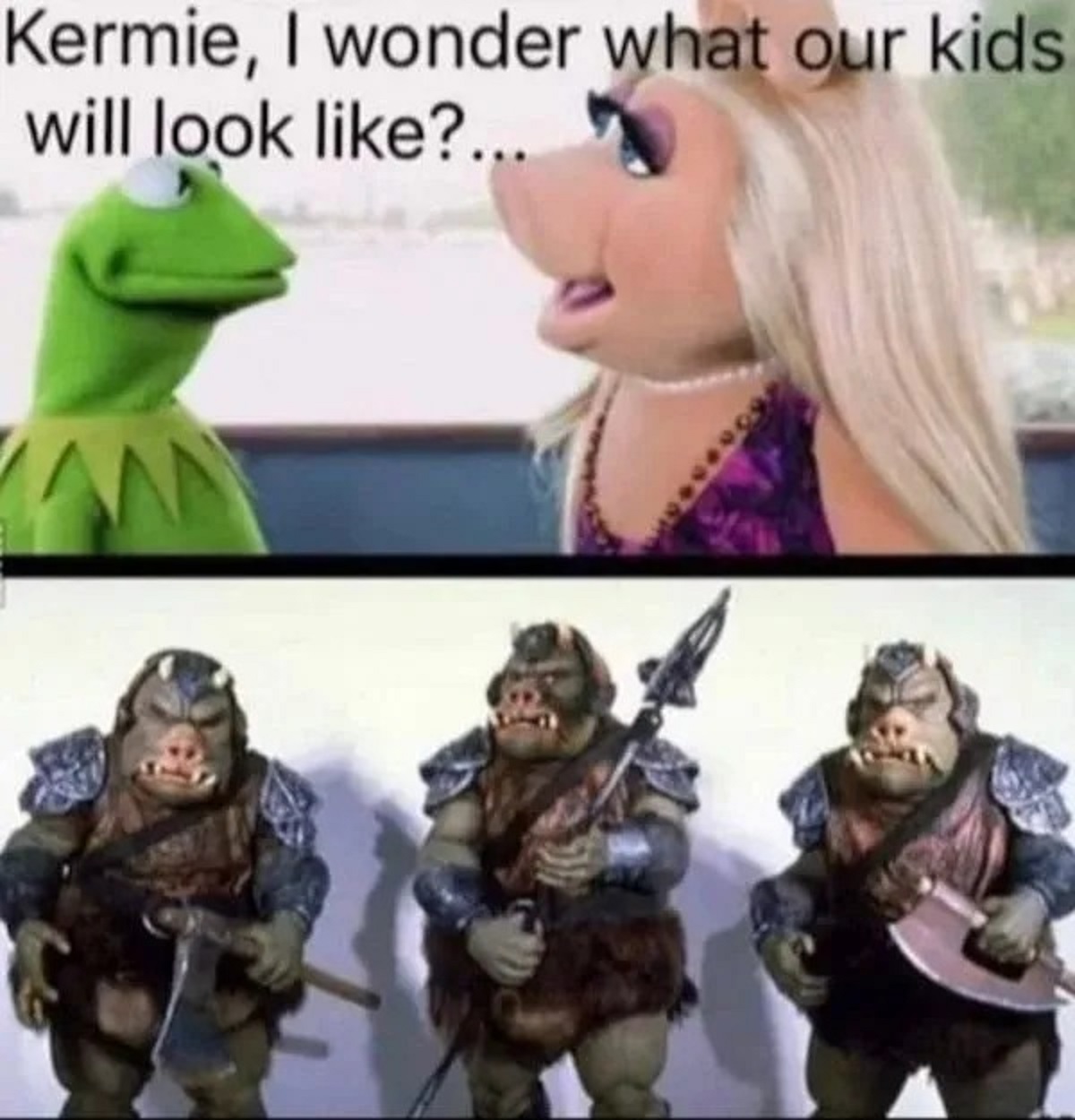 kermie i wonder what our kids will look like meme - Kermie, I wonder what our kids. will look ?...