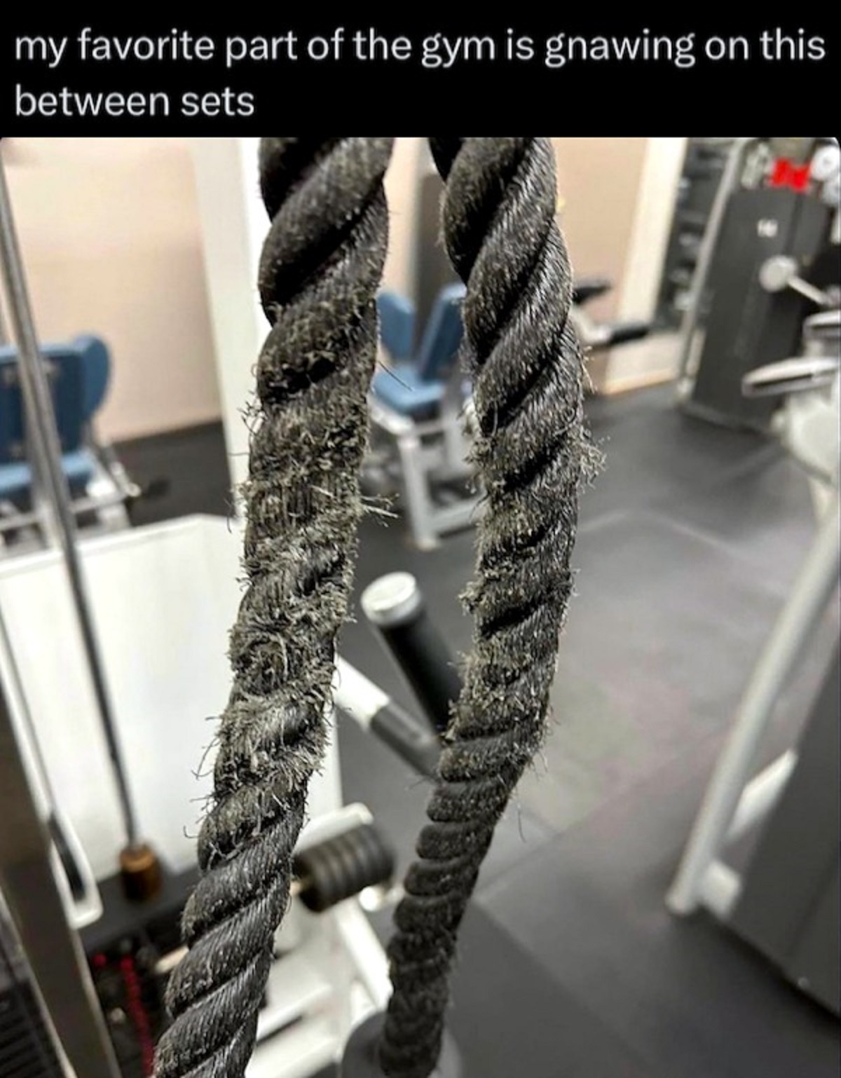 crochet - my favorite part of the gym is gnawing on this between sets