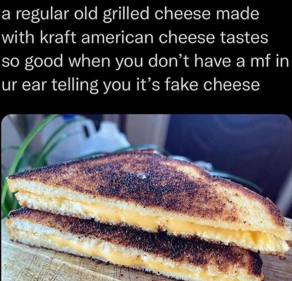 toast - a regular old grilled cheese made with kraft american cheese tastes so good when you don't have a mf in ur ear telling you it's fake cheese