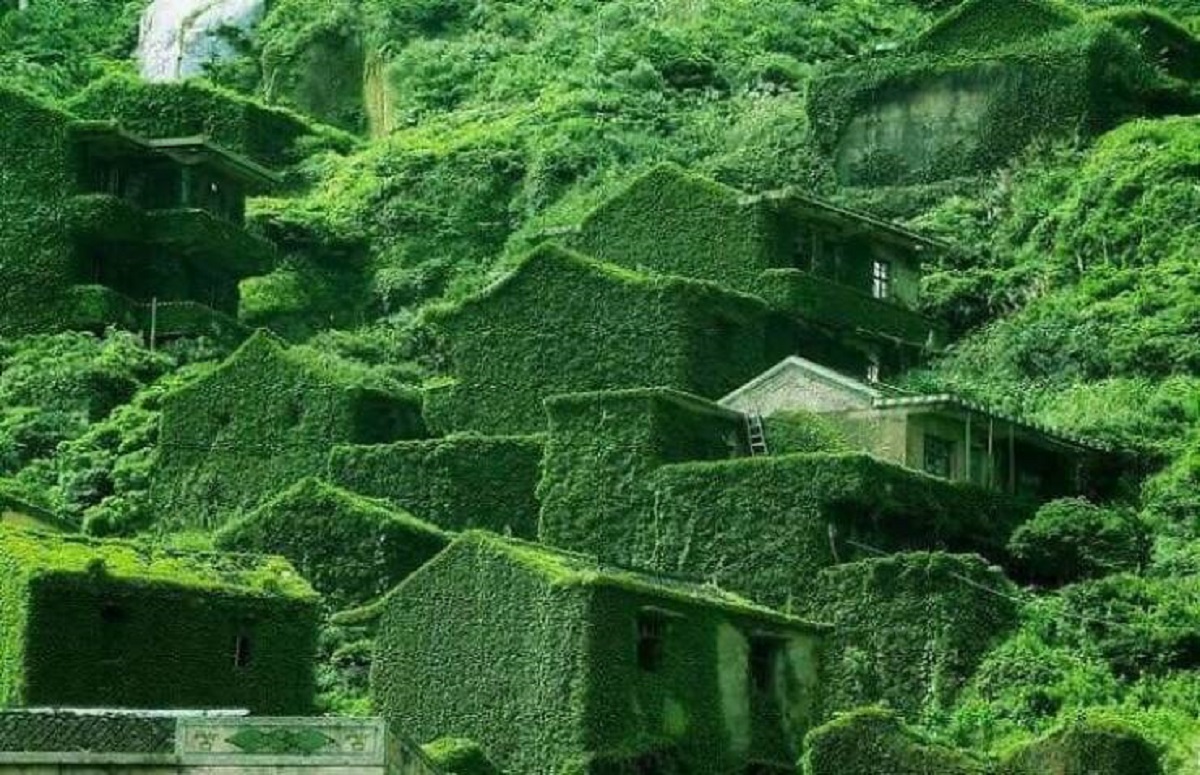 "Abandoned Chinese Village That Has Been Reclaimed By Nature"