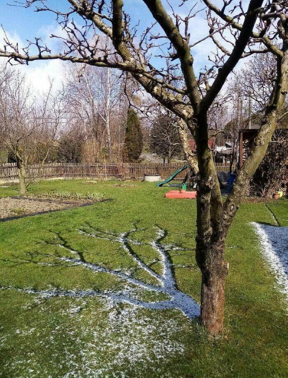 "A Tree’s Shadow Stopped The Snow Underneath It From Melting"