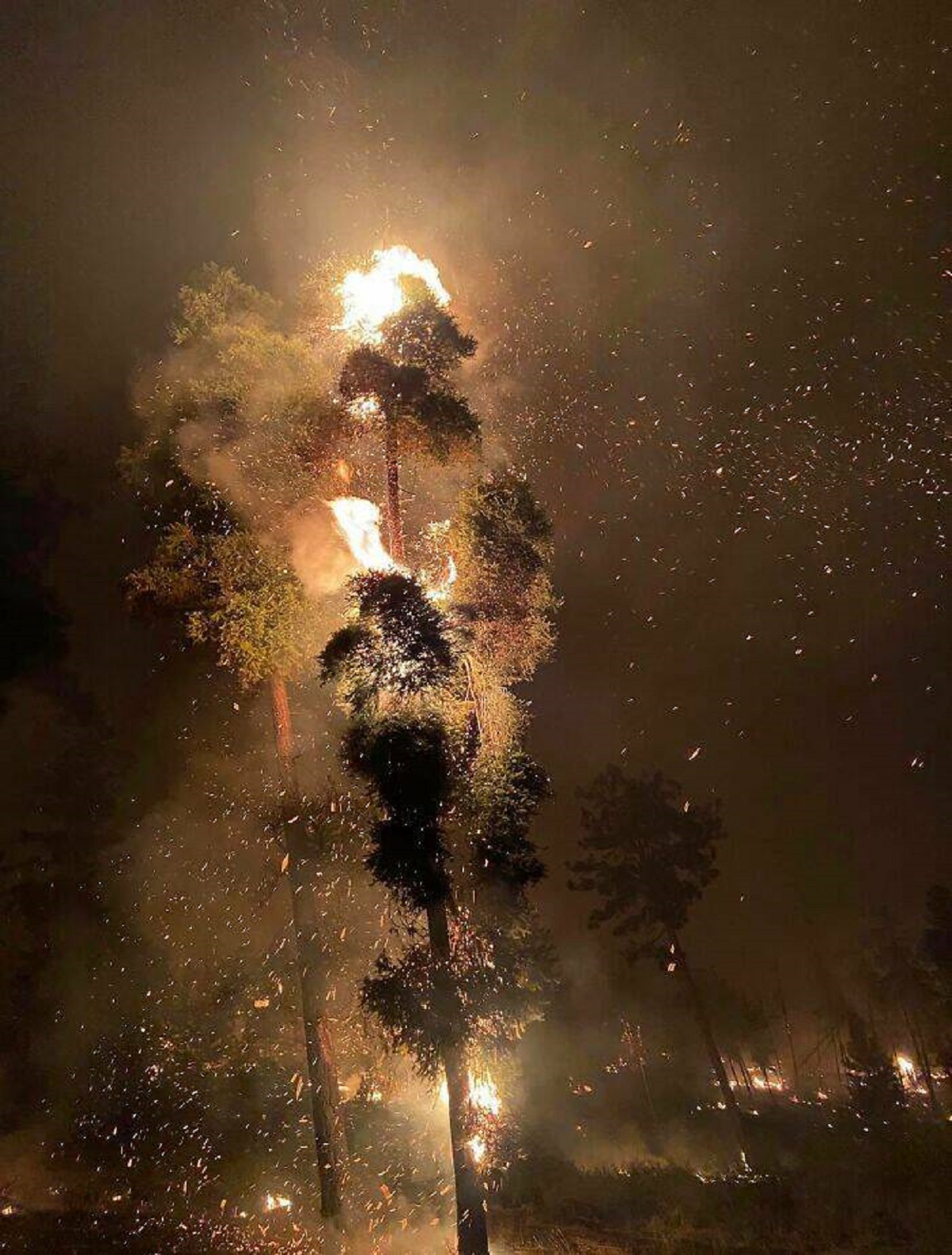 "A Picture From Inside One Of British Columbia’s Wildfires"