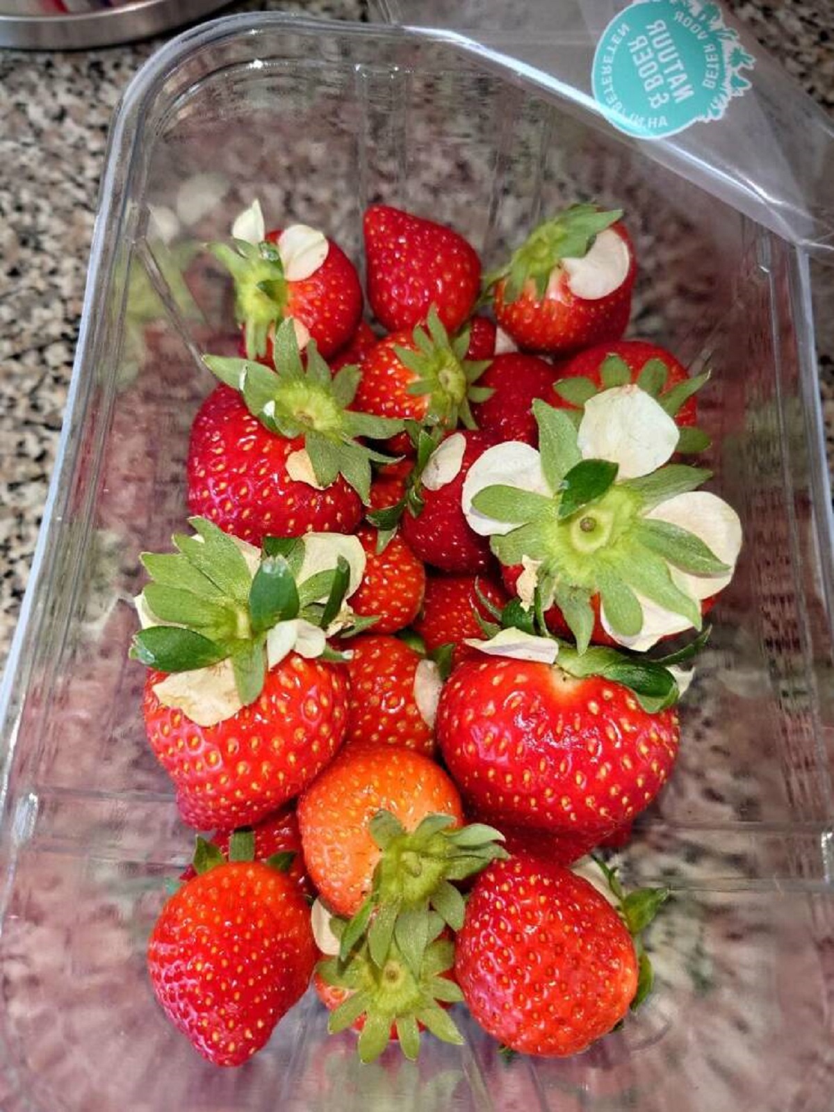 "Almost all my store-bought strawberries still had the flowers attached to them"