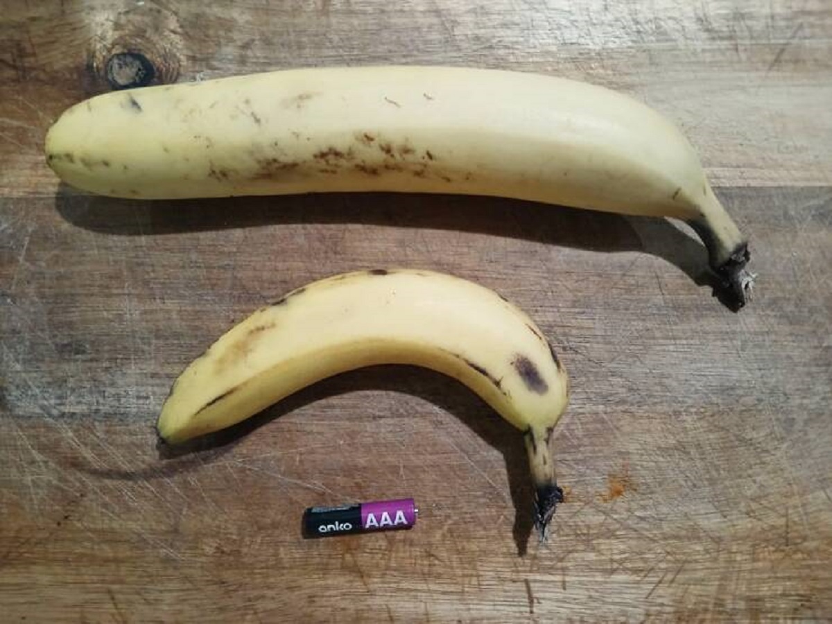 "The bananas which arrived in my grocery order today have a noticeable size discrepancy."