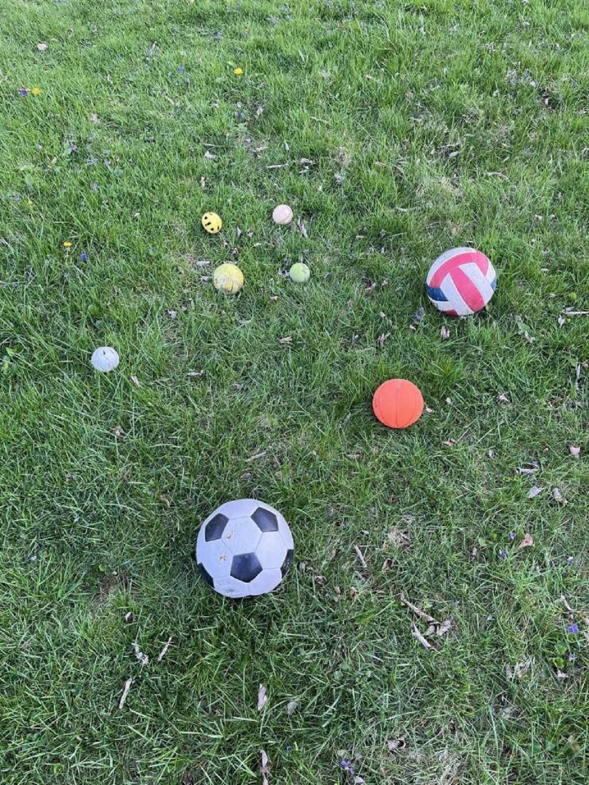 "The balls have accumulated in my backyard over the last year from over the fence."