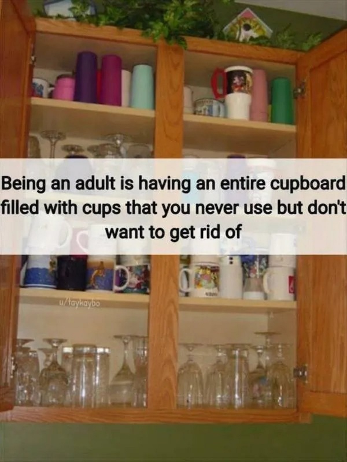iFunny - Being an adult is having an entire cupboard filled with cups that you never use but don't want to get rid of utaykaybo