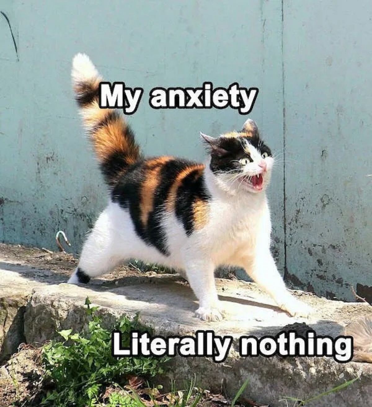 squitten - My anxiety Literally nothing