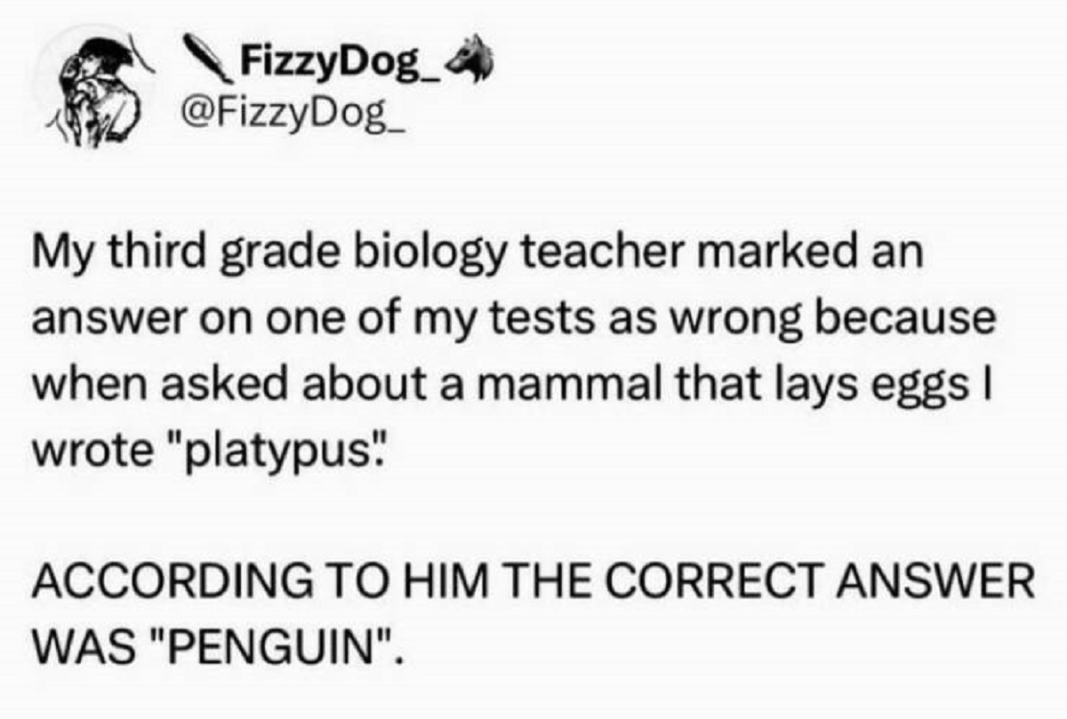number - FizzyDog_ My third grade biology teacher marked an answer on one of my tests as wrong because when asked about a mammal that lays eggs I wrote "platypus" According To Him The Correct Answer Was "Penguin".