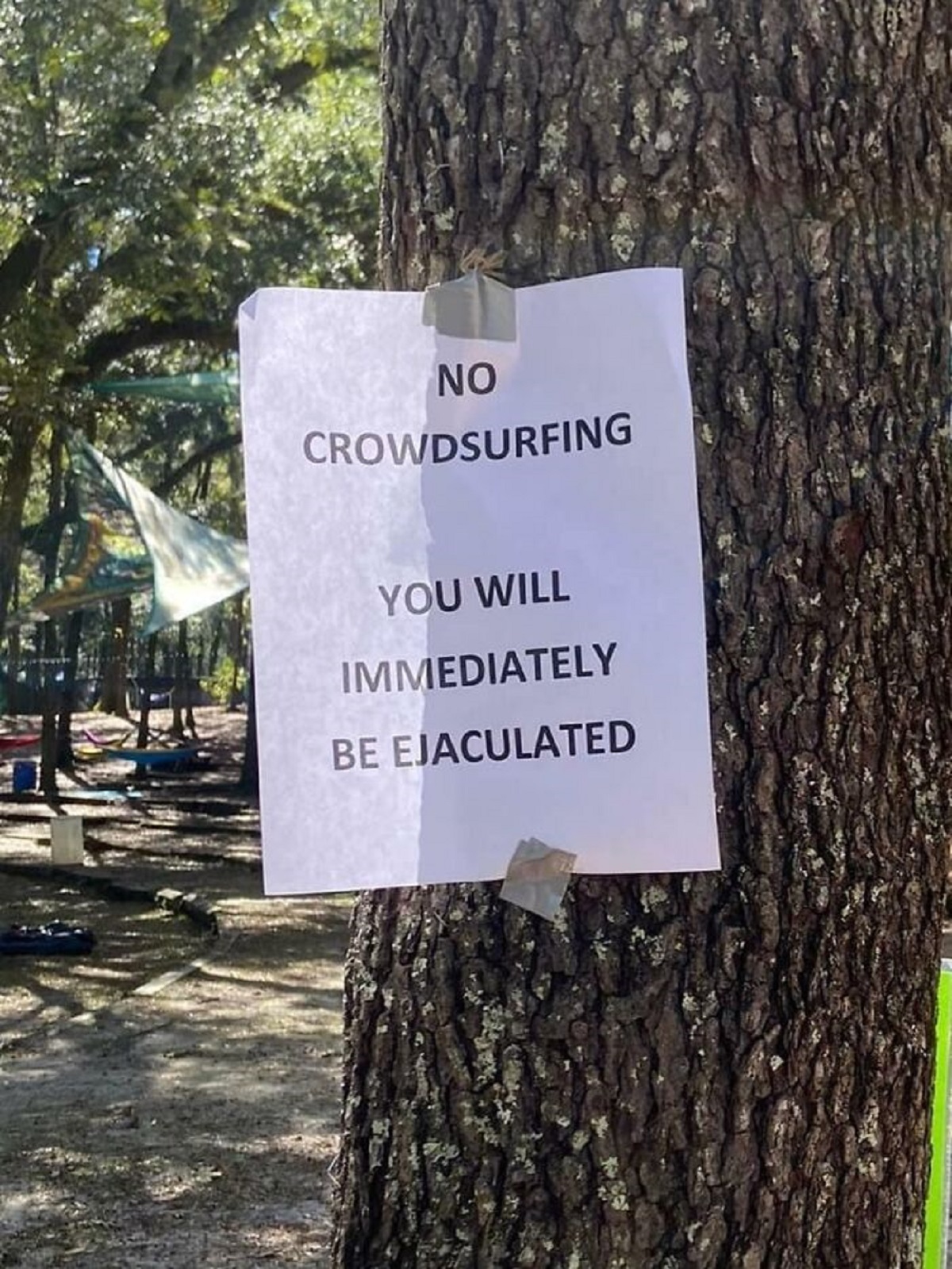 tree - No Crowdsurfing You Will Immediately Be Ejaculated