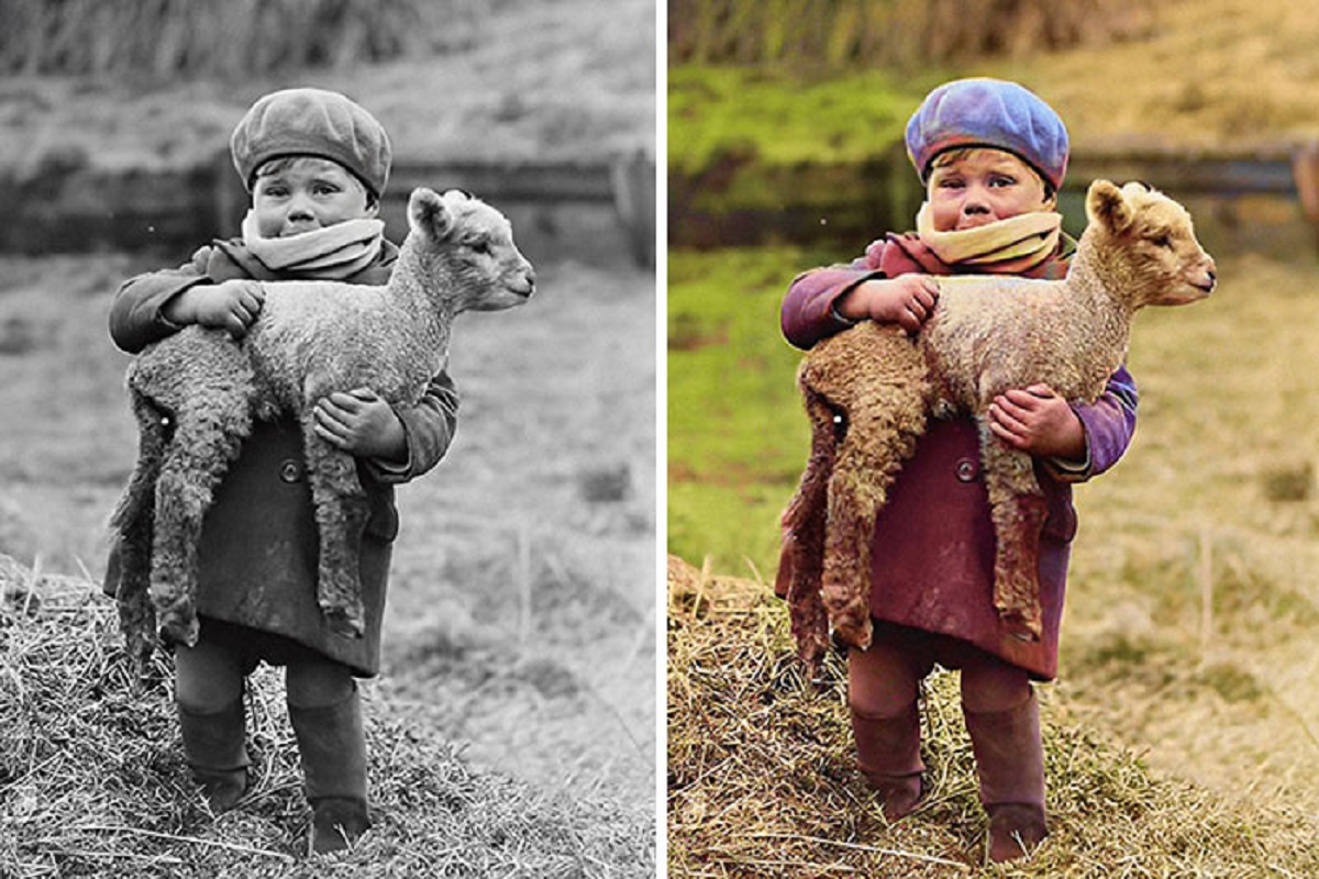 little boy carrying a newborn lamb in scotland 1932