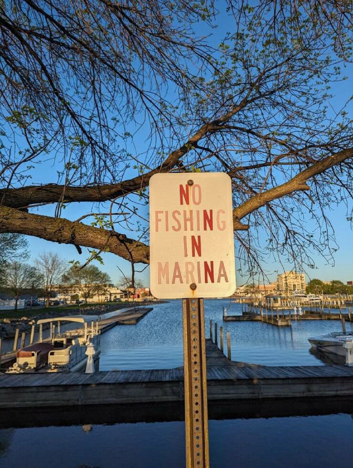 street sign - No Fishing In Marina